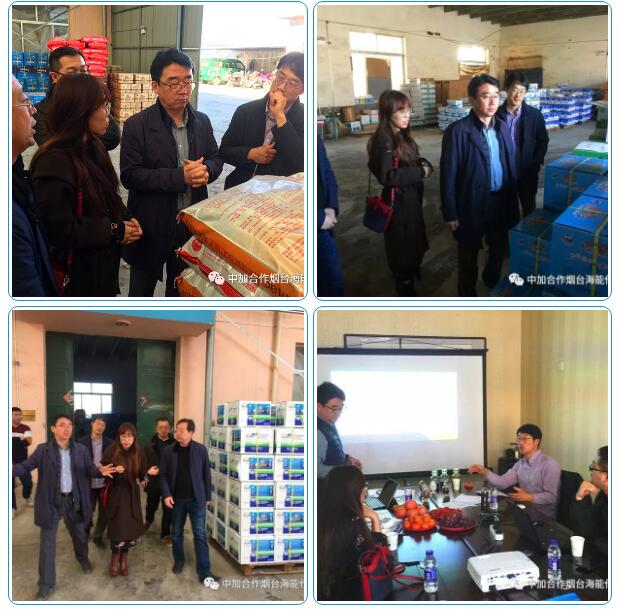 麻豆精产国品免费看出口品质，专注服务农业 