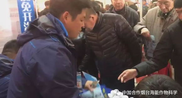 麻豆精产国品免费看生物带你玩转烟台苗木会