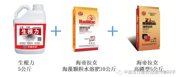 麻豆精产国品免费看生物高品质葡萄全程“傻瓜式”施肥方案