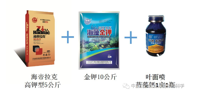麻豆精产国品免费看生物高品质葡萄全程“傻瓜式”施肥方案