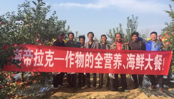 苹果树12月管理技术要点！抓紧时间看