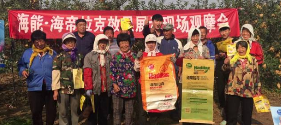 苹果树12月管理技术要点！抓紧时间看