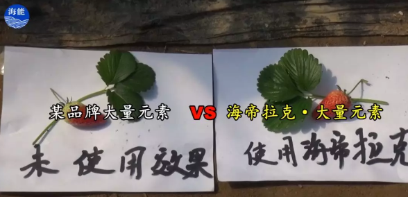 水肥一体化不止是节水、节肥！还有这功效！