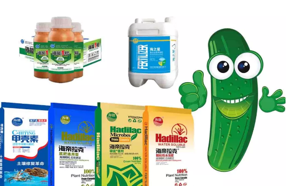 麻豆精产国品免费看生物黄瓜全程施肥技术