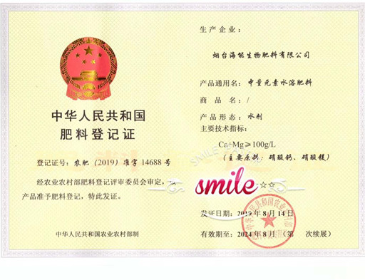 付出终会有回报，功夫不负有心人