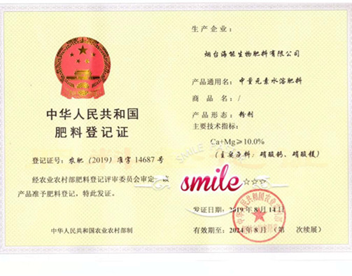 付出终会有回报，功夫不负有心人