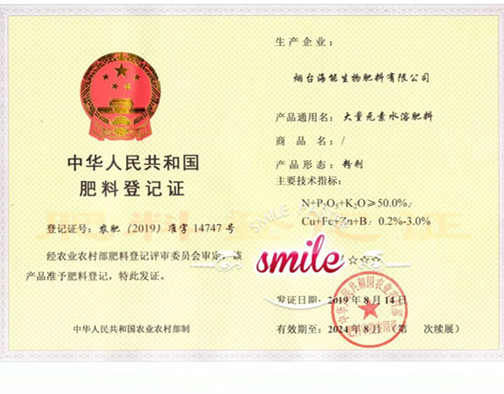 付出终会有回报，功夫不负有心人