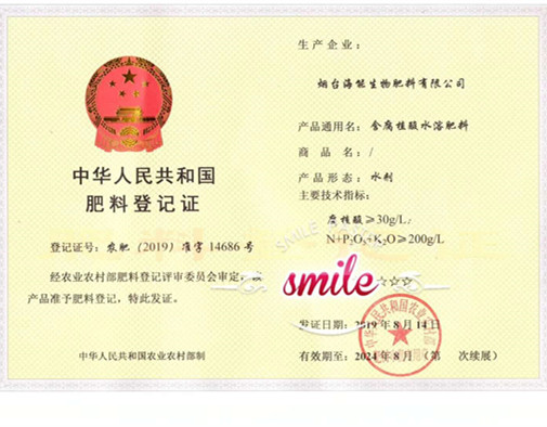 付出终会有回报，功夫不负有心人