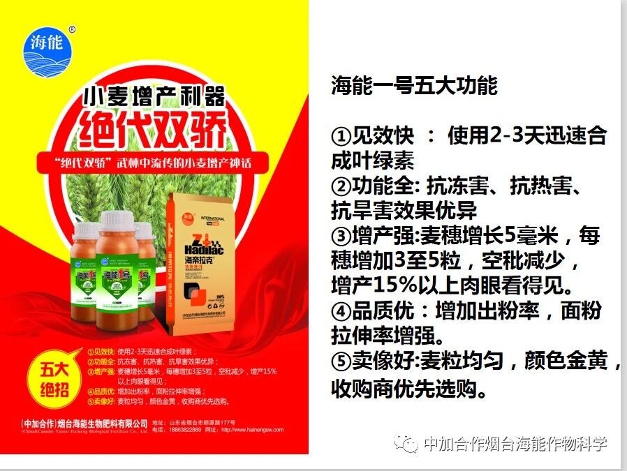 抗寒利器，麻豆精产国品免费看1号