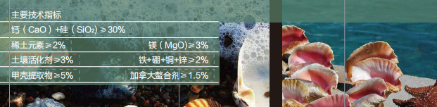 麻豆精产国品免费看甲壳素活性中微量麻豆人妻少妇精品